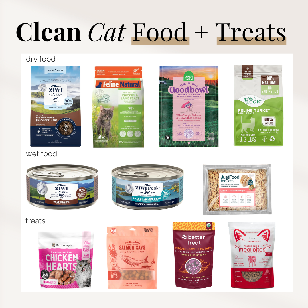 Clean Cat Food + Treats
