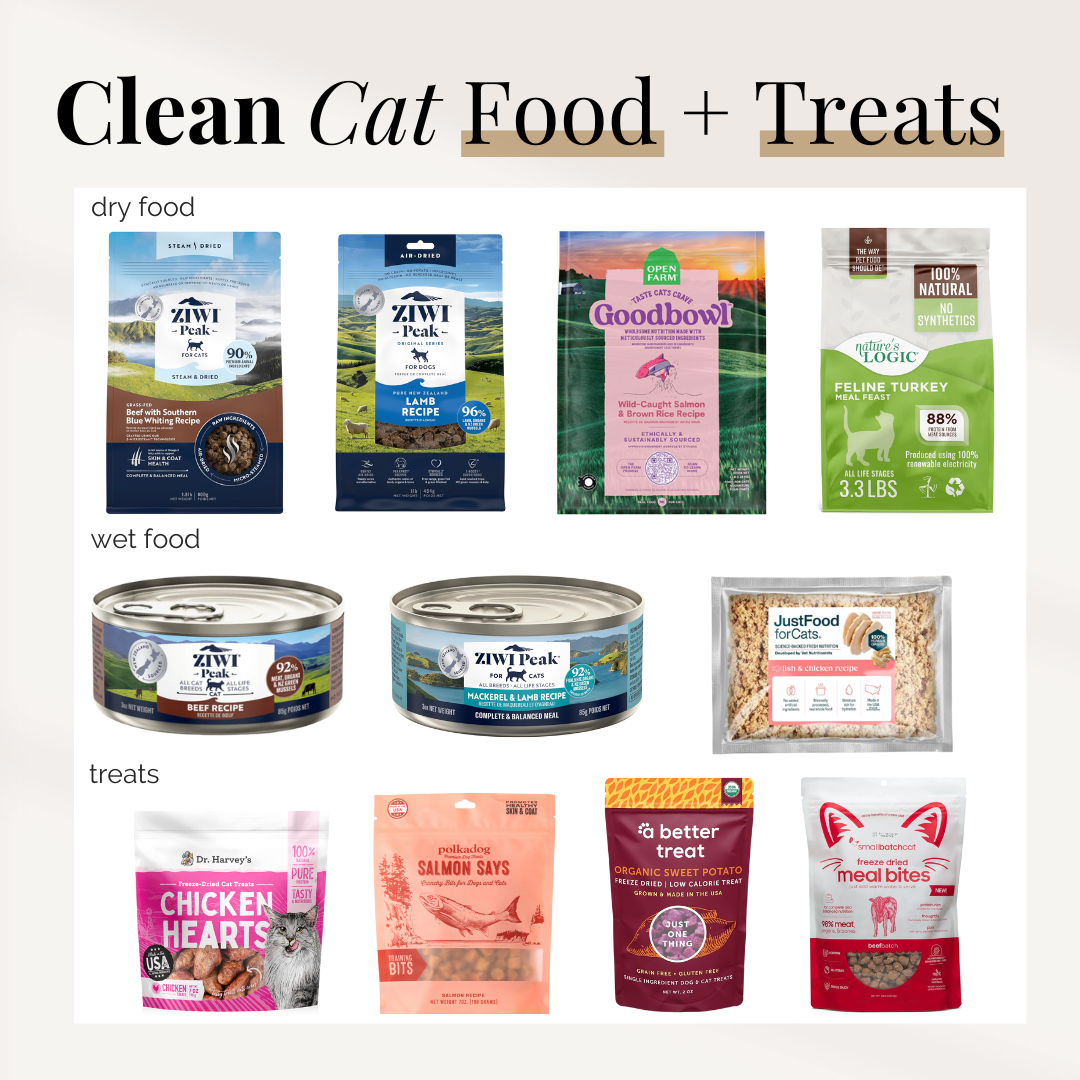 Clean Cat Food + Treats