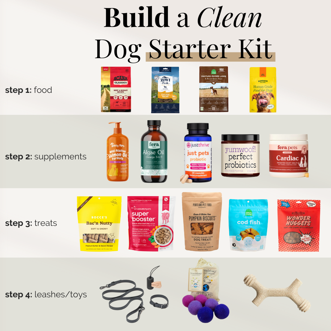 Build A Clean Dog Starter Kit