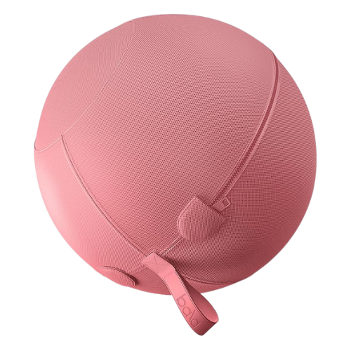 Balance Exercise Ball