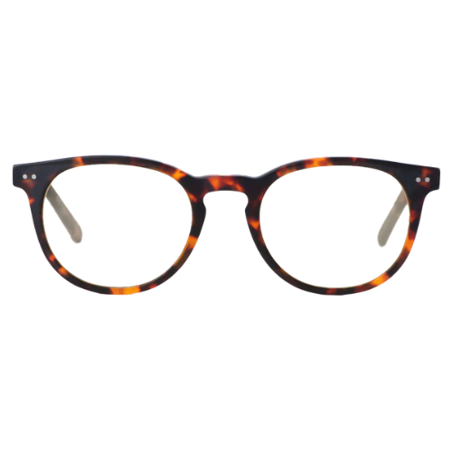 Custom Computer Glasses