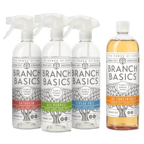 Cleaning Essentials Kit