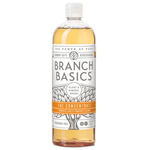 Branch Basics_The Concentrate