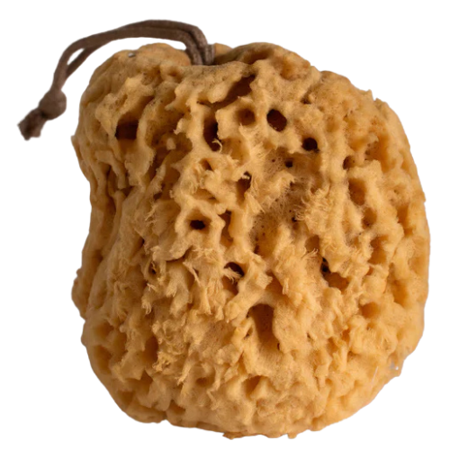 Butter & Lye_Natural Sea Sponge