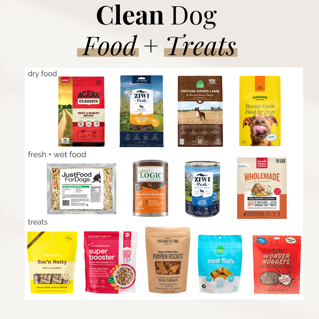 Clean Dog Food + Treats