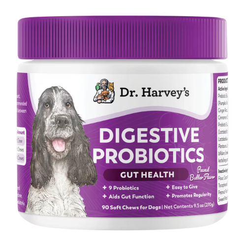 Digestive Probiotic