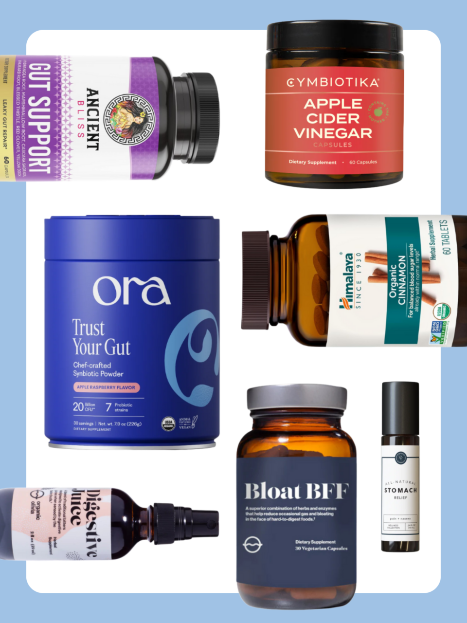 Beginners Guide to Gut Health Collage