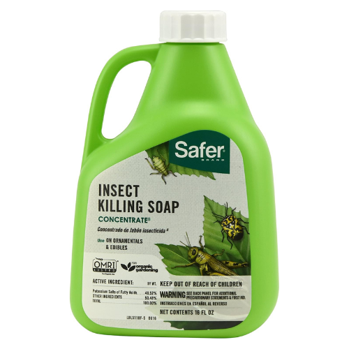 Insect Killing Soap Concentrate