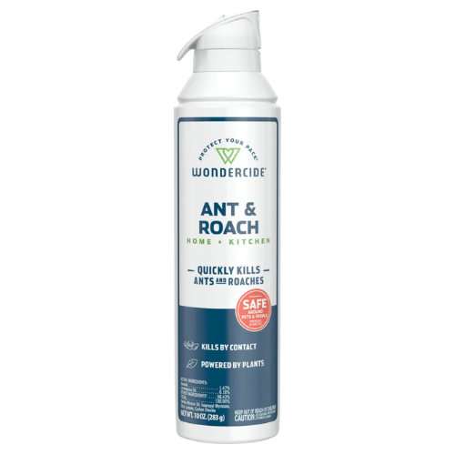Ant & Roach Aerosol Spray