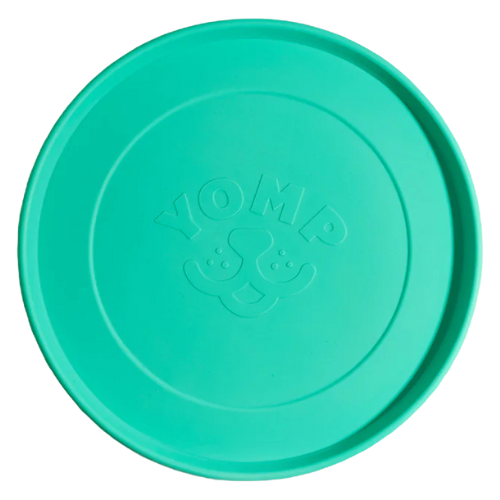 Fetch Flyer Dog Frisbee