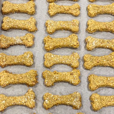 pumpkin spice dog treats | GIRLS WHO EAT