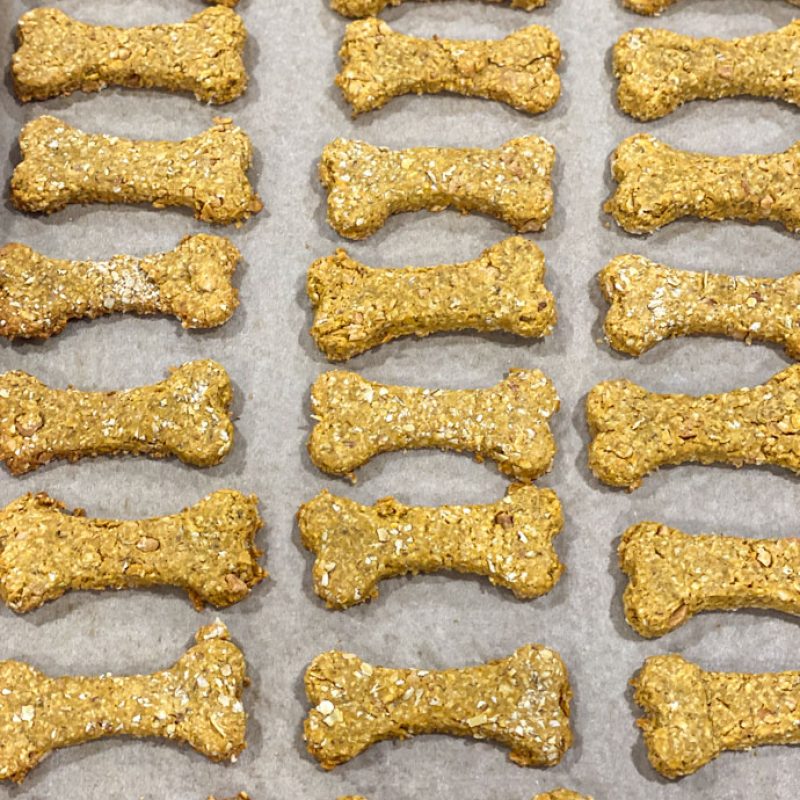 pumpkin spice dog treats | GIRLS WHO EAT