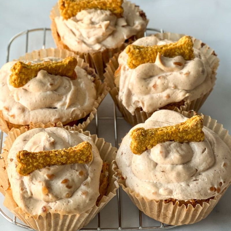 pupcakes | GIRLS WHO EAT